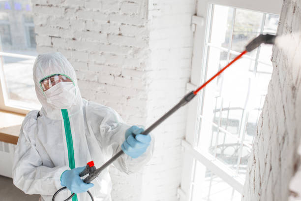 Best Residential Mold Inspection & Testing  in Venice, IL